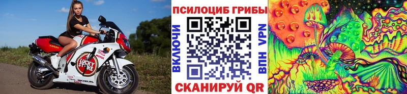 Галлюциногенные грибы Psilocybine cubensis  Ленинградская 